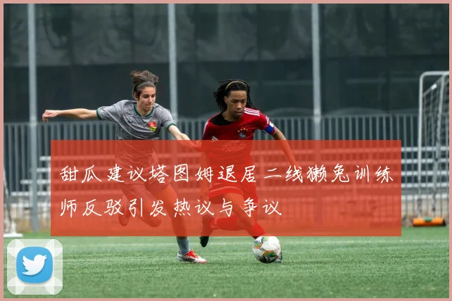 甜瓜建议塔图姆退居二线獭兔训练师反驳引发热议与争议