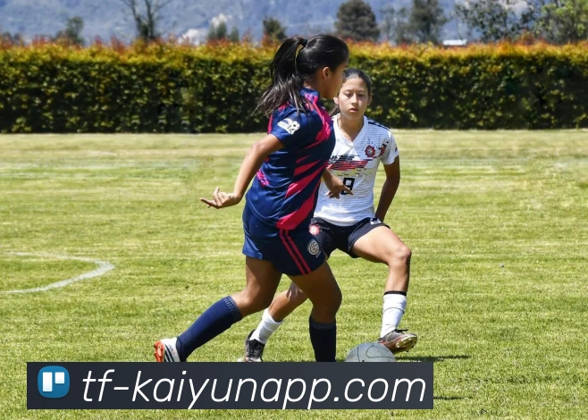 开云体育平台生态图