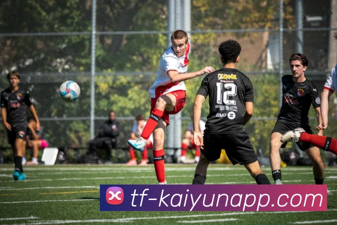 开云体育APP 封面图