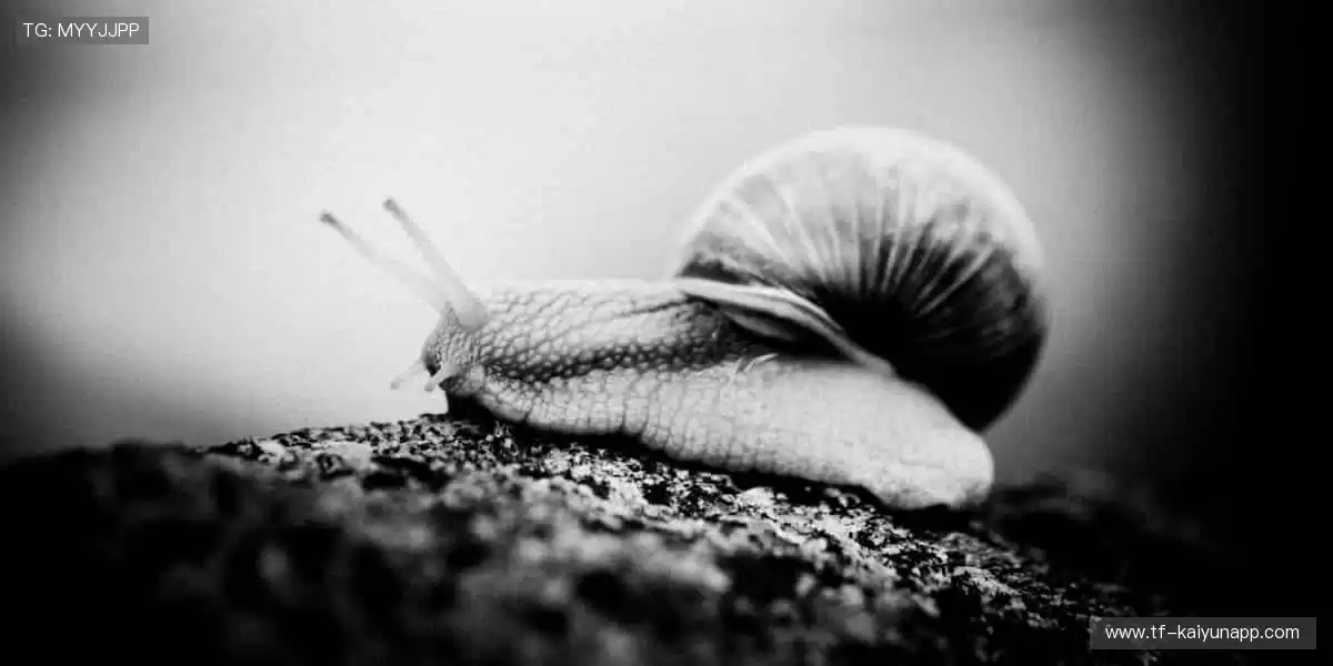 一键开启赛事盛宴!📺 超清画质,身临其境的热血对决!